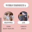 솔로몬 태권도장 이미지