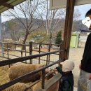 호야목장 이미지