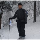 수지침(야간) 이미지