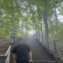 마니산 국민관광지 | 강화도 마니산 등산 초보 후기 입장료 2천원 고양이산