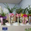 거성정비 이미지