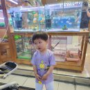 증평수족관 이미지