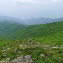 노고단-11 이미지