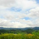 삼광목장 이미지