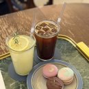 비올라 | 청주 성안길 카페 비올라 마카롱 맛집 내돈내산 솔직후기