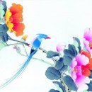 필유인 Daum카페