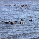 마루바람 이미지