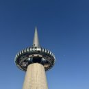 노랑통닭 홍성점 | 대전엑스포 비어위크 한빛탑 대전맥주축제 꿀팁(음악분수/주차/푸드트럭)