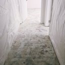 파인듀스