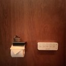 스테이 봄 이미지