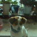 이쁜이세탁 이미지