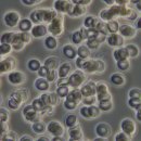 천인지한의원 이미지