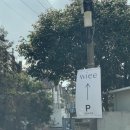 동광리-10 | [제주 브런치카페 추천] 서귀포시 wiee카페(위이카페) 감성브런치 잘하는 맛집 내돈내산 후기