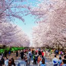 여명로25번길 이미지