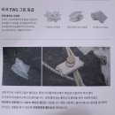 모메그린