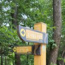 갈맷길6-2구간 이미지