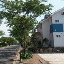 에스테이하우스 이미지