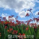 타이밍 (TIMING) 이미지