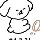 멍그랑 네이버블로그