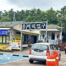 안덕면 상창리사무소 입구 | 제주 용머리해안 관람시간과 간조 타임, 전화 한 통으로 완주 성공한 후기