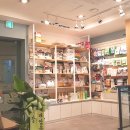 봄사랑 동물병원 이미지