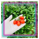 현정이네 농장 이미지