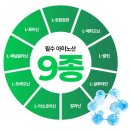 에이스마트 | 단백질파우더 추천ㅣ게이너마트 에이스 프로틴 쉐이크(초코맛) 단백질 보충하기