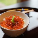 번성농장 | 홋카이도 하코다테 ‘Ryotei Fumoto’, ‘미슐랭 전통 가이세키’ 한 끼로 일본을 제대로 느껴보자