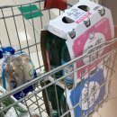 오수관촌농협관촌지점하나로마트 이미지