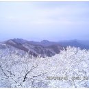 바람결에 산화하는 눈꽃이 아름다운 이유 (치악산) 이미지