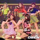 레이디스 코드 카카오 검색결과