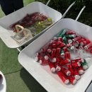 서울가든 | 서울 야외 스몰 결혼식 헤이스가든 웨딩, 하객 방문 식사 후기