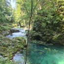 블레드 - 강북구 오패산로52길 29 | 동유럽 여행 슬로베니아 블레드 빈트가르 협곡(Vintgar Gorge) 후기, 정보