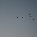 삼일삼오 이미지