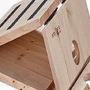 애니 팜 이미지