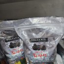 식물A