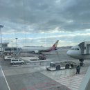 제주공항 렌트카, 서귀포 서작가 초밥집 - 설날 제주 여행 메모 1일차