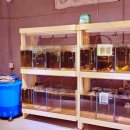 소서명로 이미지