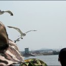 레드문펜션민박 이미지