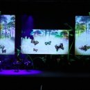 그림자극<랑랑별 때때롱> 이미지