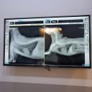 TLC 동물의료센터 이미지