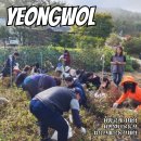 요선농장 이미지