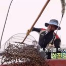 섬진강메기매운탕전문점 이미지