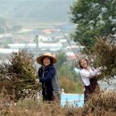 심훈농장 이미지