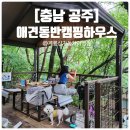 공주계곡캠핑 | 동학사 계곡 근처 공주 숙소 계룡산 자동차 야영장 애견동반 캠핑하우스 후기