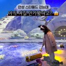 꾸며봐 그림책 속 비밀놀이 | 안성 스타필드 가볼만한곳 아이와 리뉴얼된 글로우사파리 겨울여행