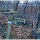 대운산자연휴양림 이미지