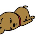 보들보들 이미지