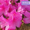 오성농원 이미지