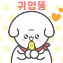 블링펫살롱 이미지